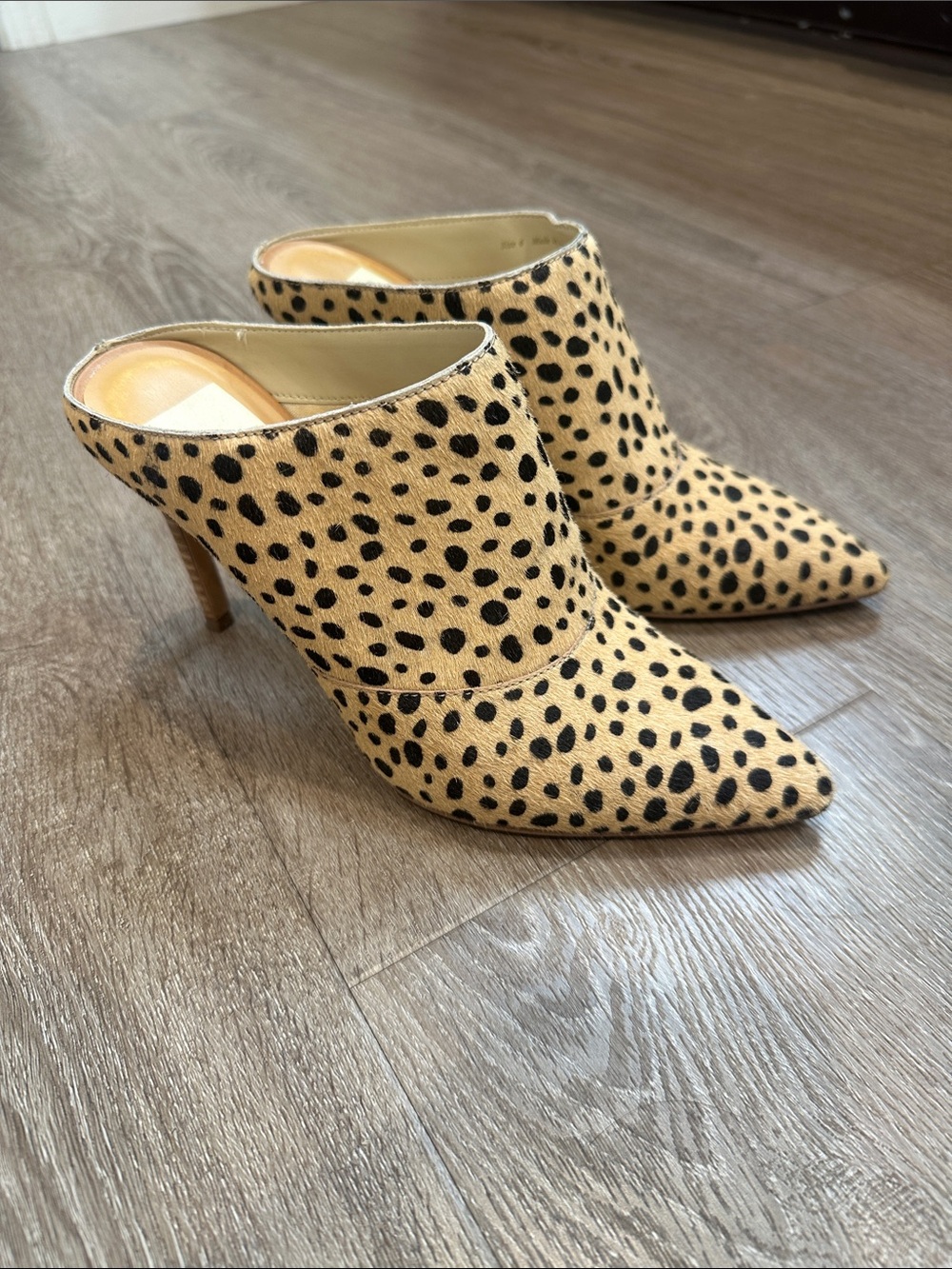 Dolce Vita Leopard-Print